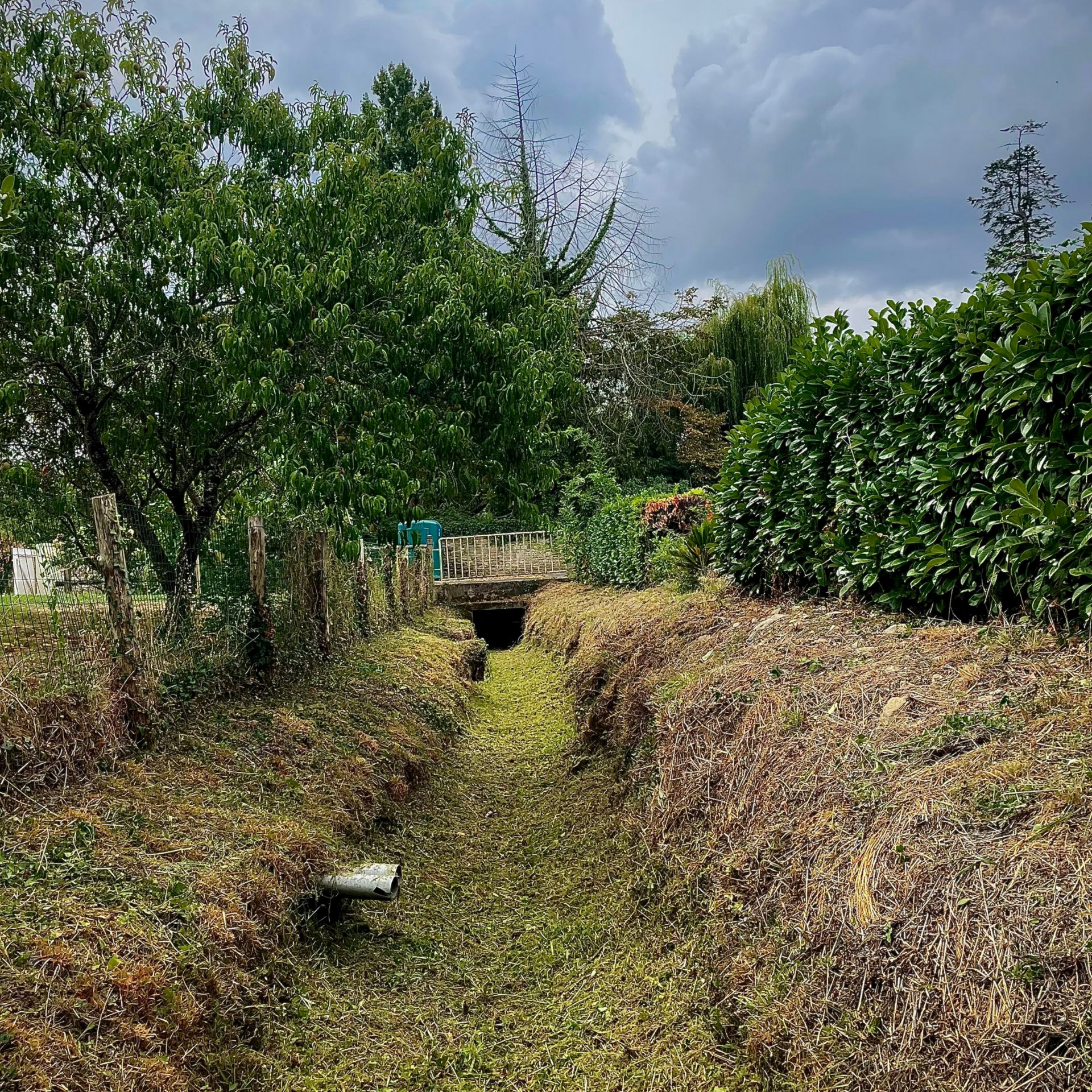 Fossé de drainage étroit et herbeux avec un petit ponceau, bordé d'arbres et d'arbustes verts denses sous un ciel nuageux
