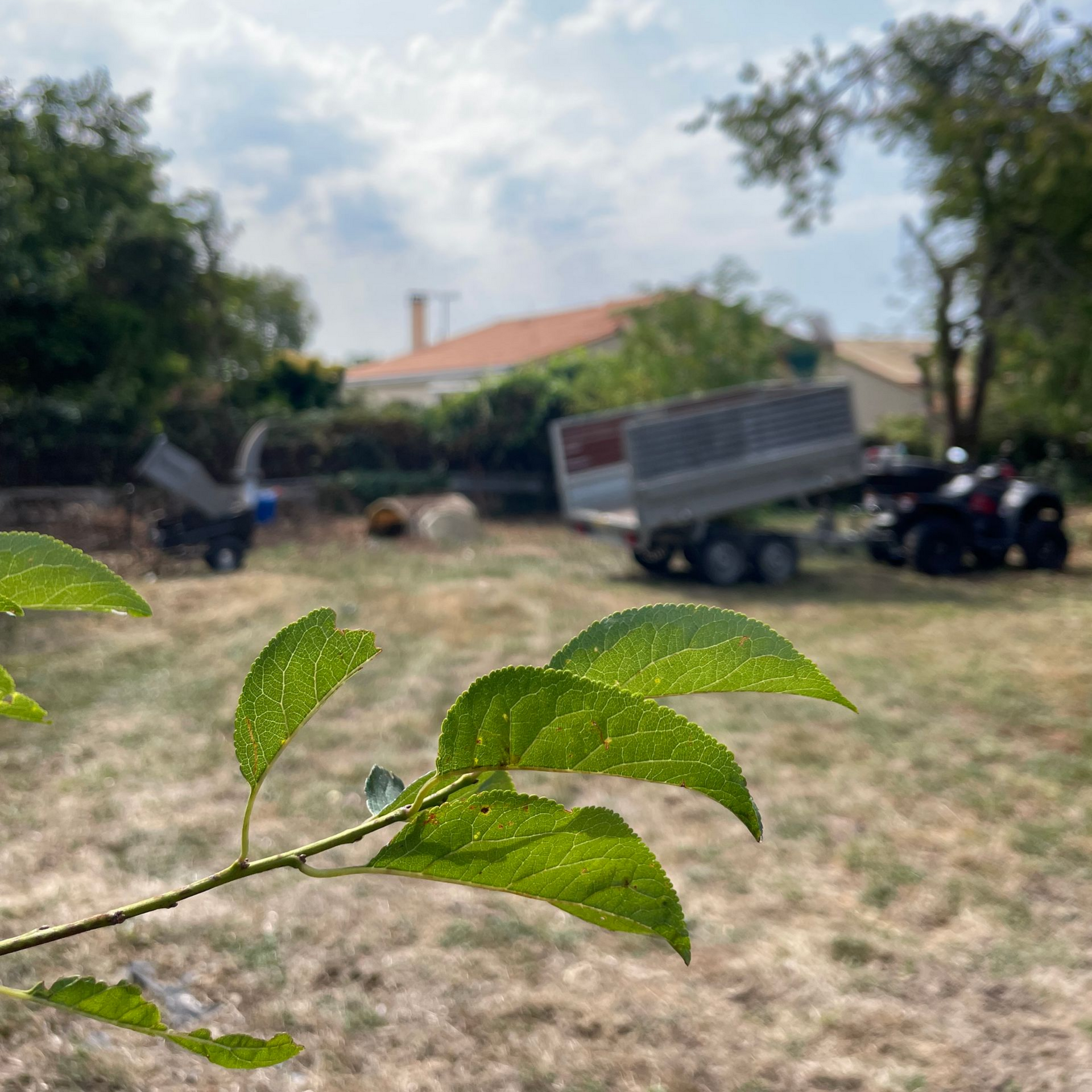 Des feuilles vertes nettes sur une branche, avec une cour de ferme et une caravane floues en arrière-plan.