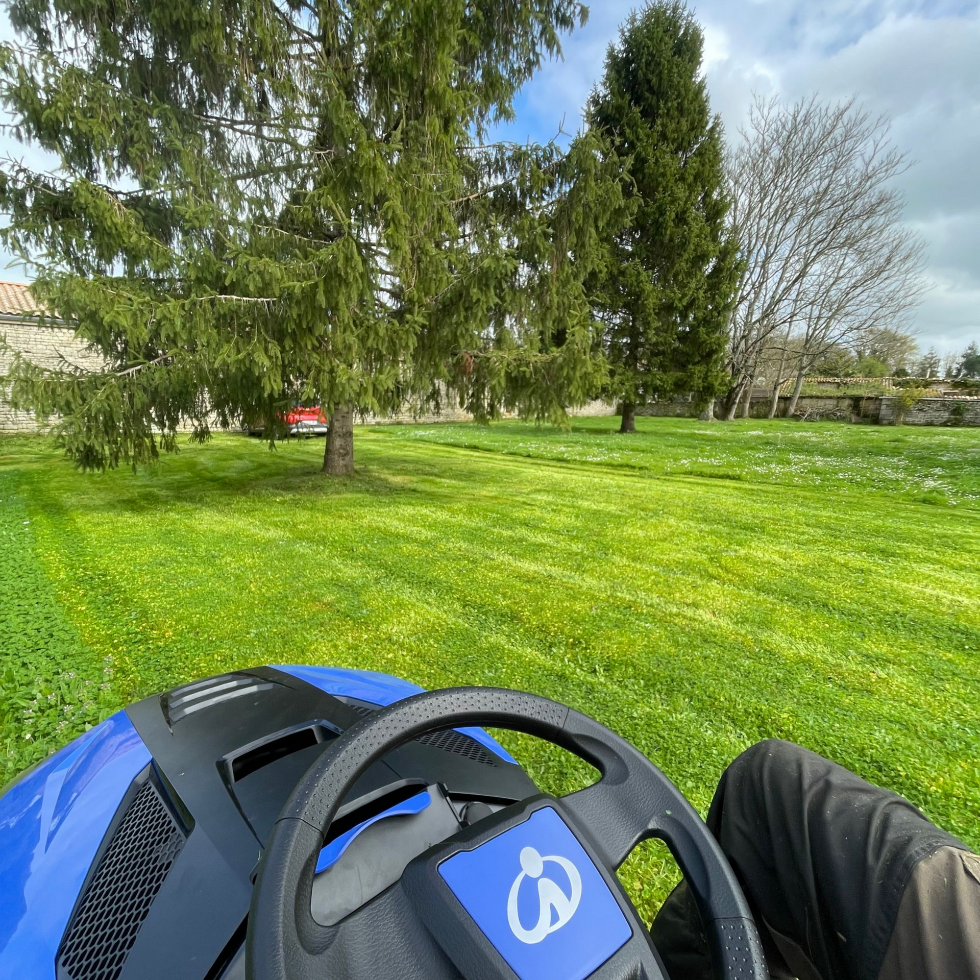 Vue subjective d'une tondeuse à gazon sur un champ d'herbe vert vif, avec des arbres et des maisons en arrière-plan.