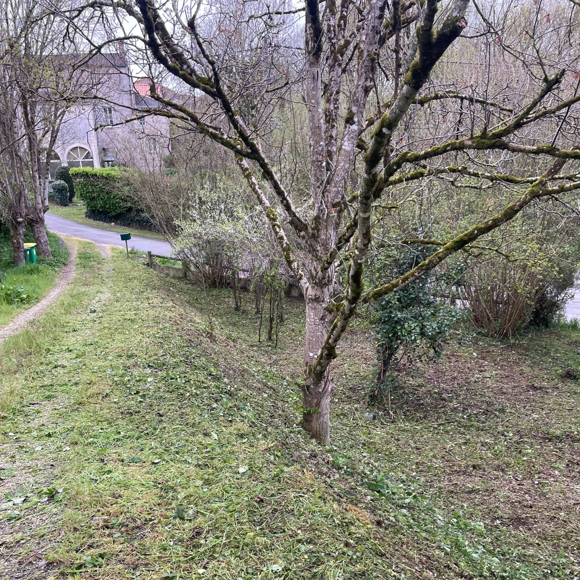 Allée ombragée d'un parc bordée d'arbres et d'arbustes dénudés par temps nuageux