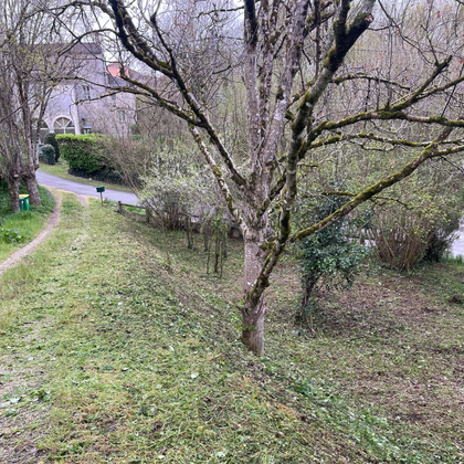 Allée ombragée d'un parc bordée d'arbres et d'arbustes dénudés par temps nuageux