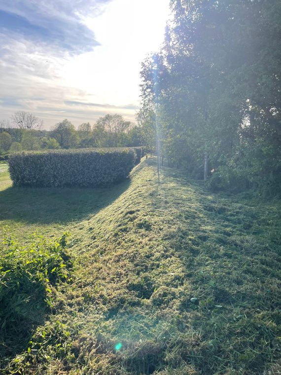 Haie ensoleillée et talus herbeux dans un champ de campagne sous un ciel radieux