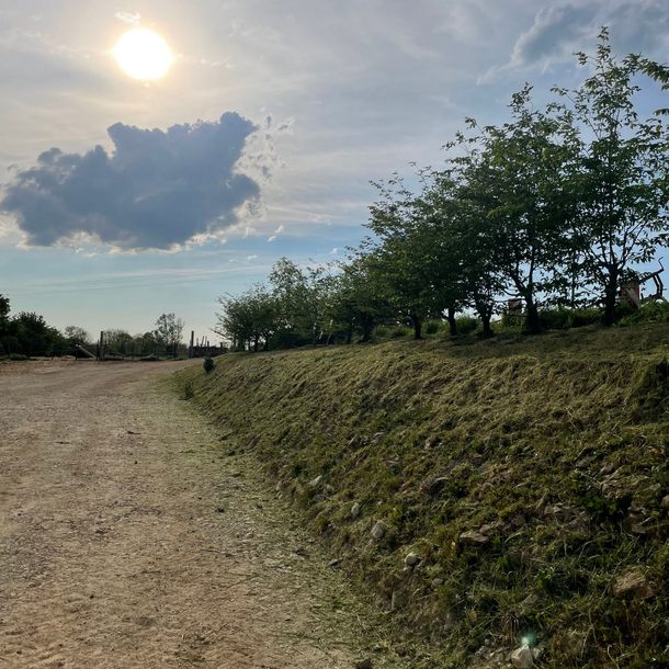 Chemin de terre ensoleillé longeant un talus herbeux et des arbres sous un ciel du soir nuageux