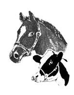 Tierarztpraxis Betzenstein - Schnaittach Ralph Faltenbacher Logo