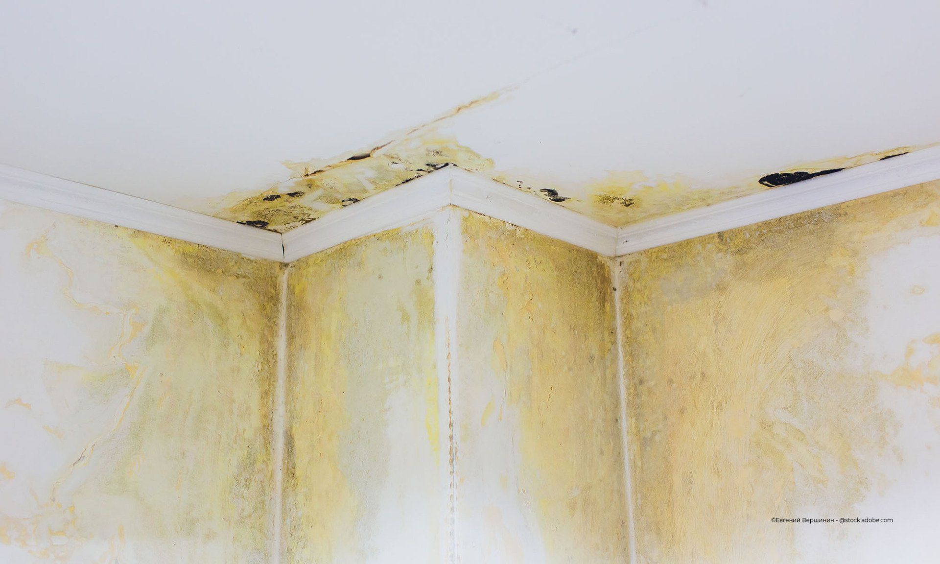 Schimmel an Decke und Wand