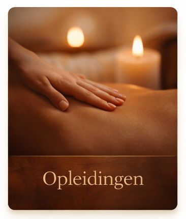 Opleiding Opleiding