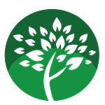 Les réalisations de votre entreprise spécialisée en travaux forestiers