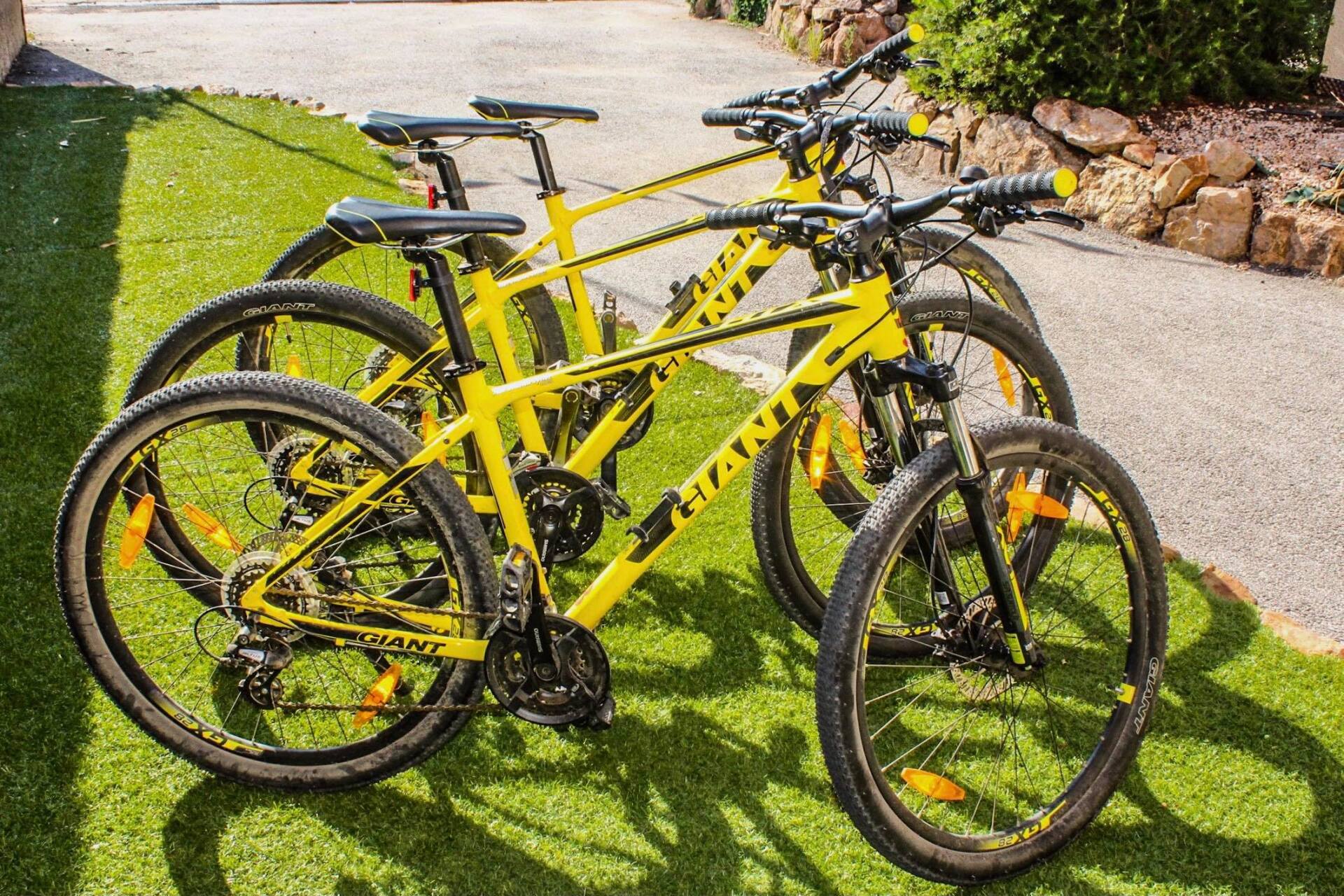 location de vélos tout terrain