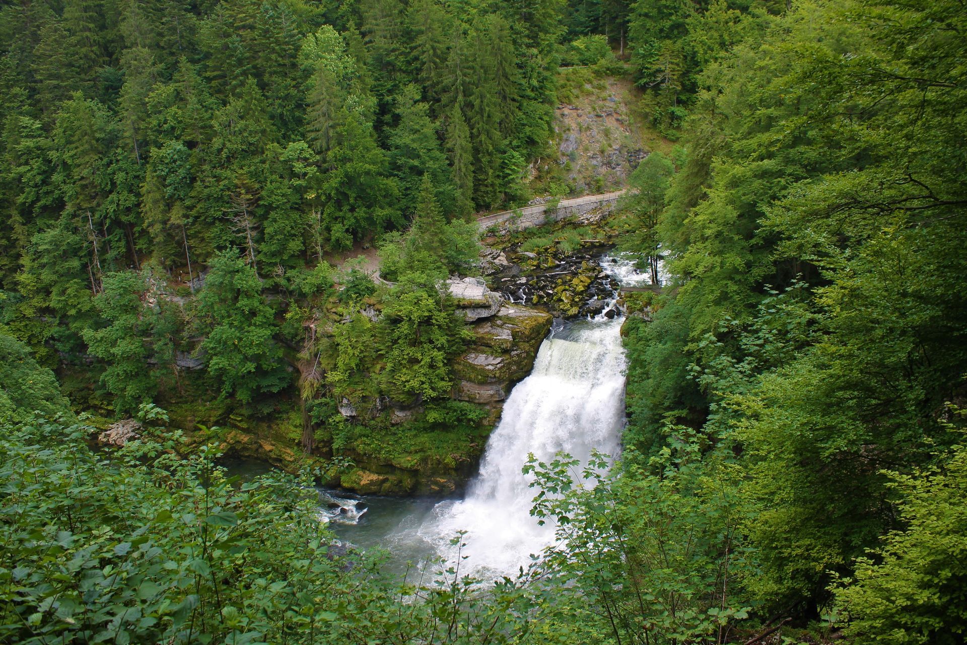 Forêt et cascade d'un fleuve