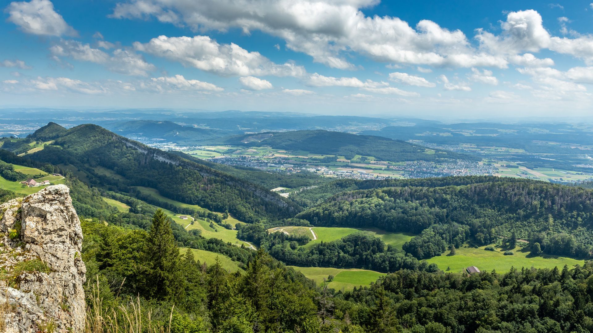 Paysage vert avec forêt et pelouse