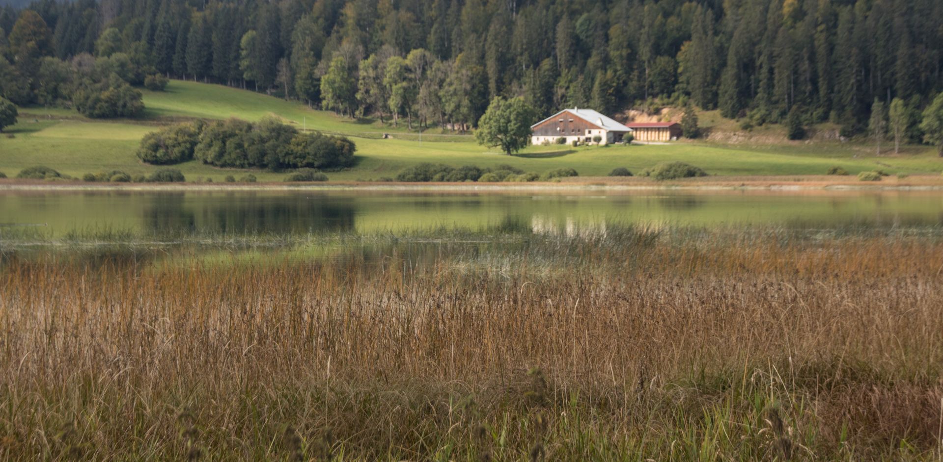 Paysage avec un étang et une maison en arrière-plan