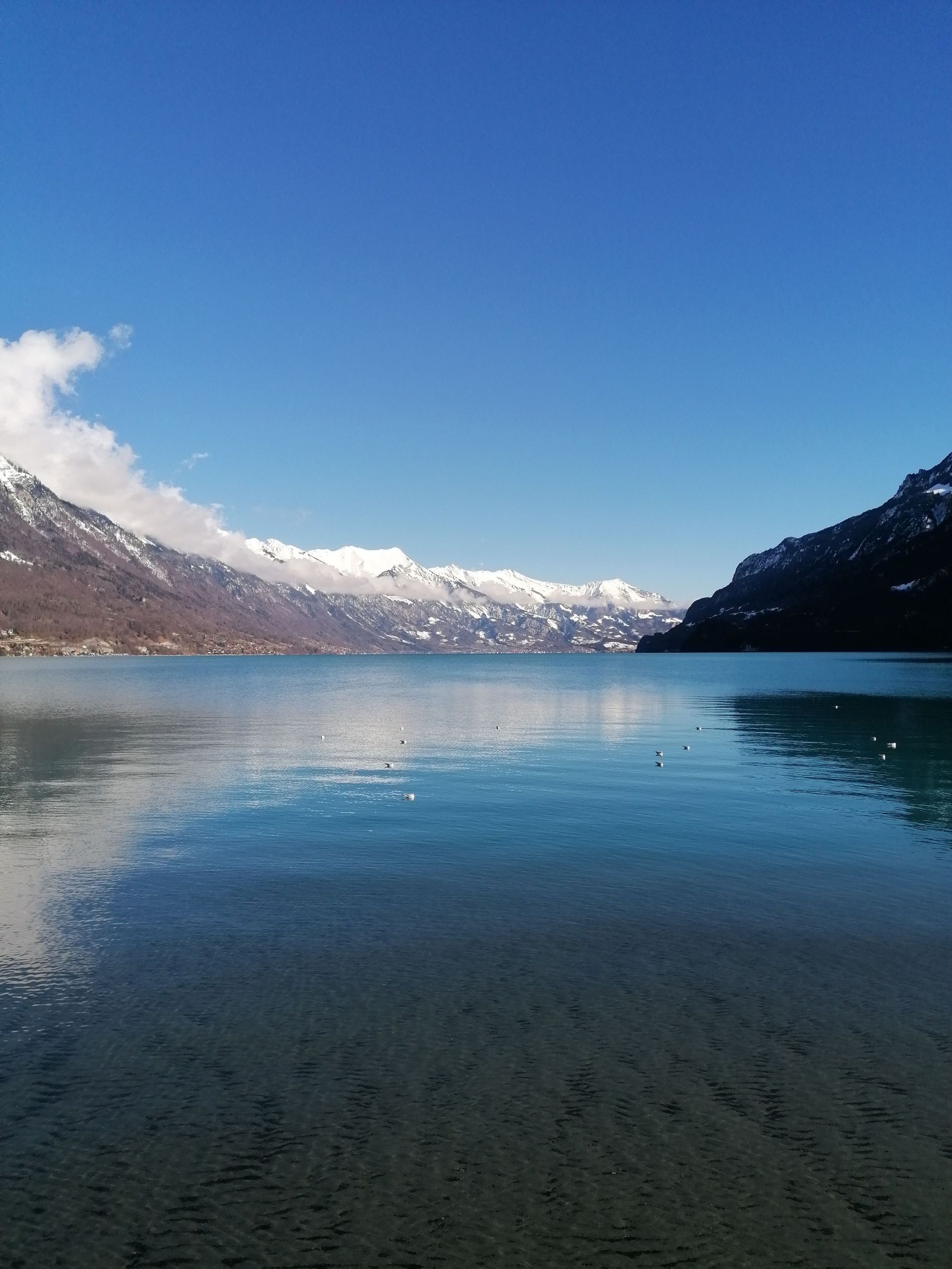 Hotel Oberländerhof
