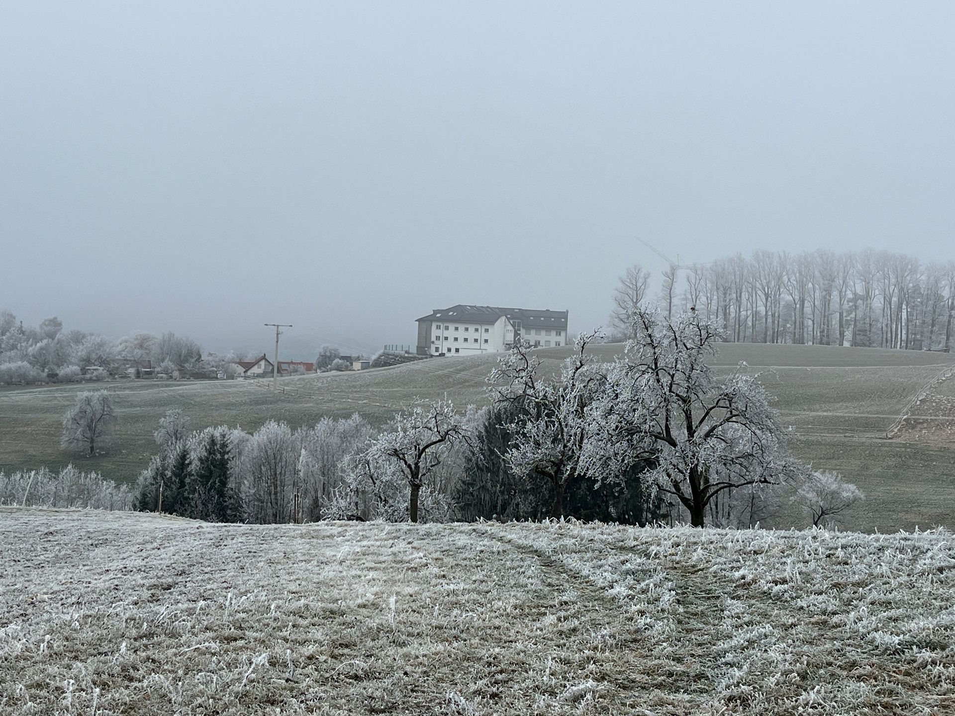 Frost Haus Lutzenberg