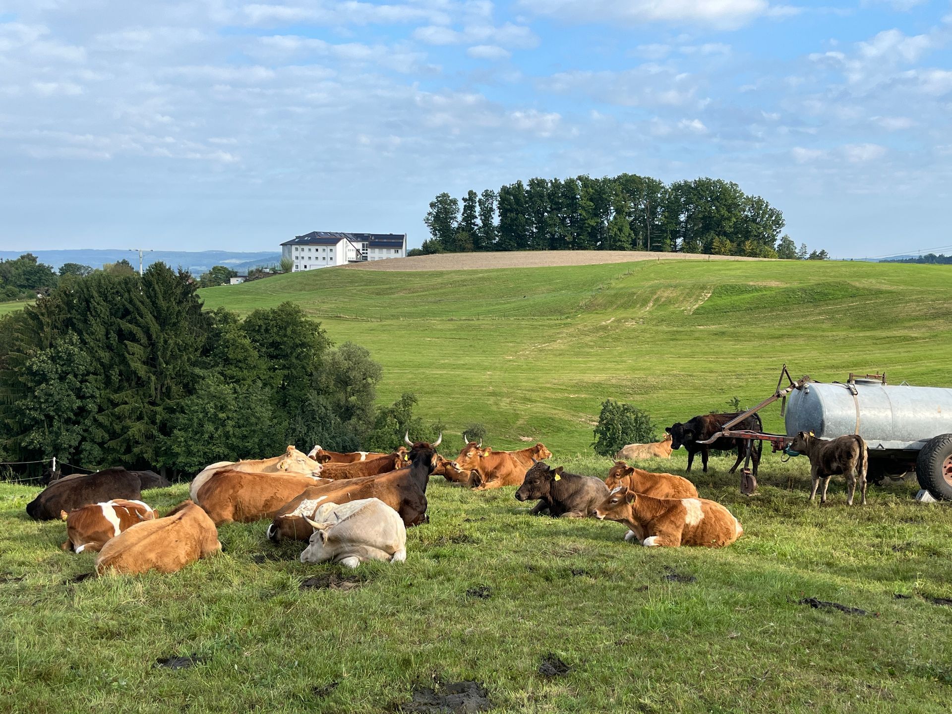Landidylle Haus Lutzenberg