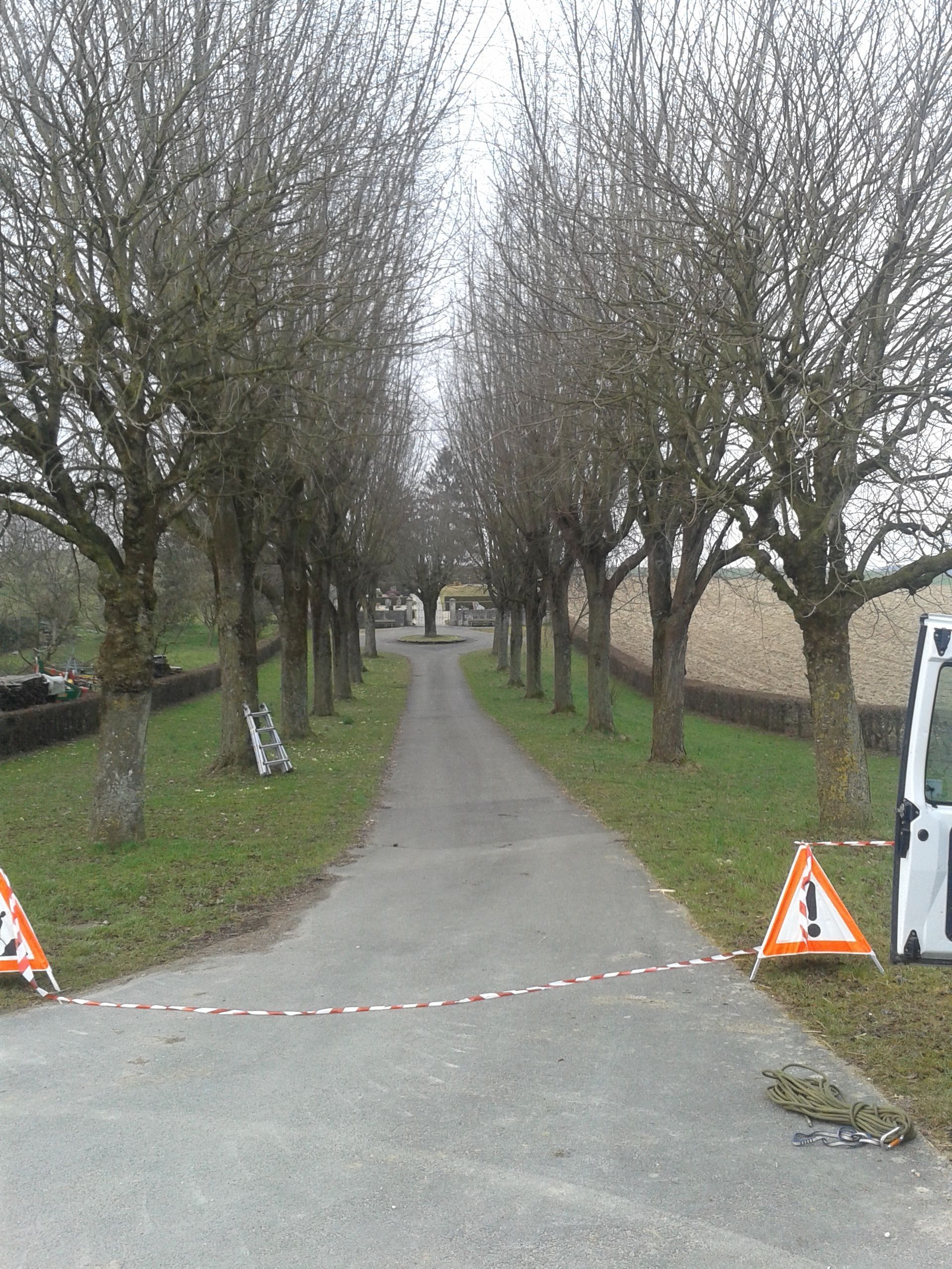 Elagage avant - Favey Création