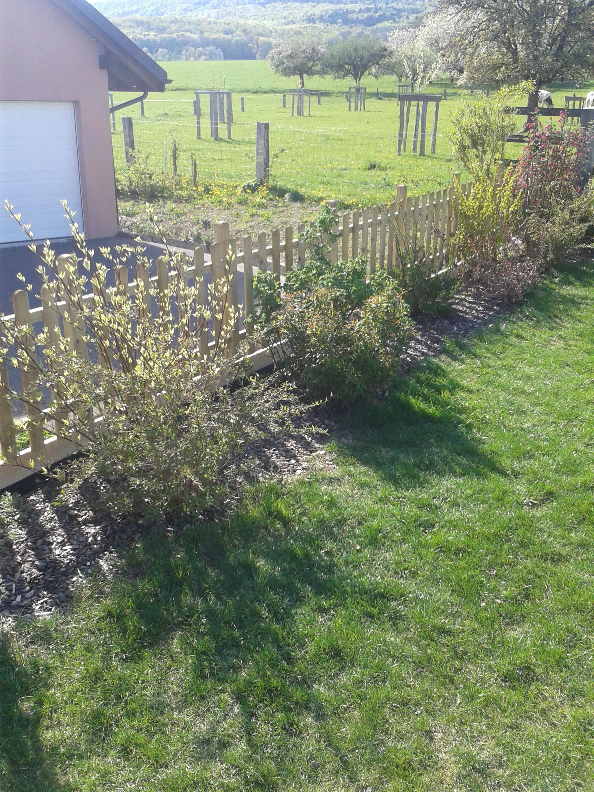 Haie vive - Favey Création