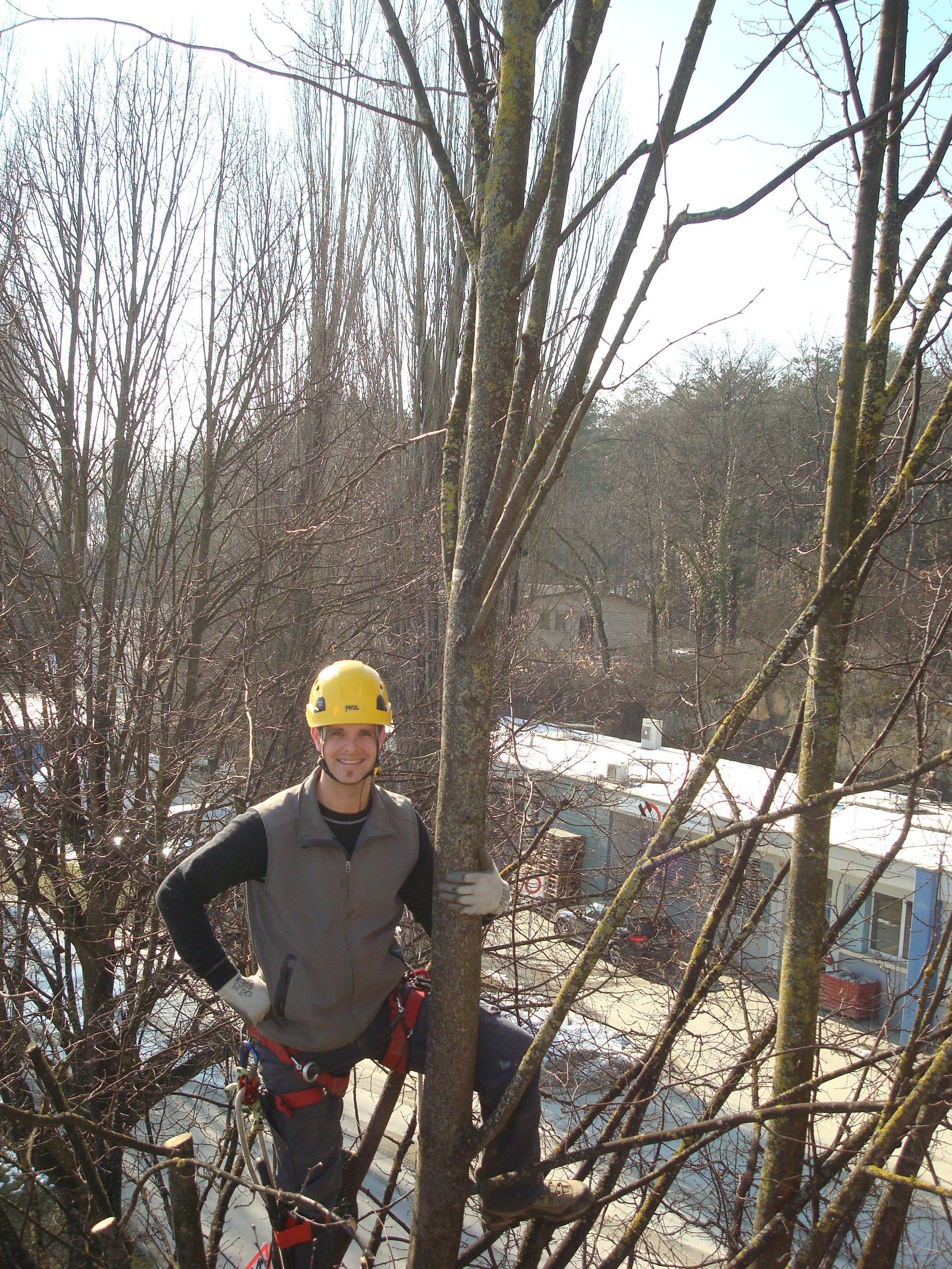 Luc - Favey Création