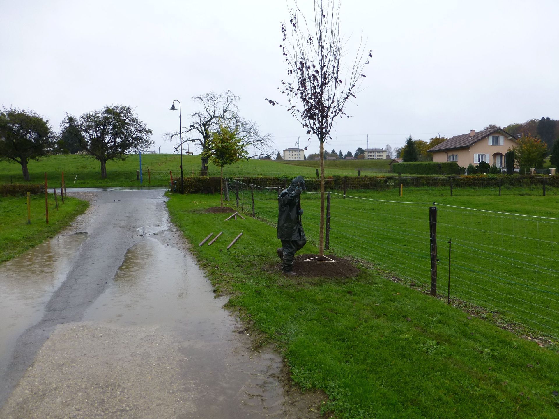 Plantation - Favey Création