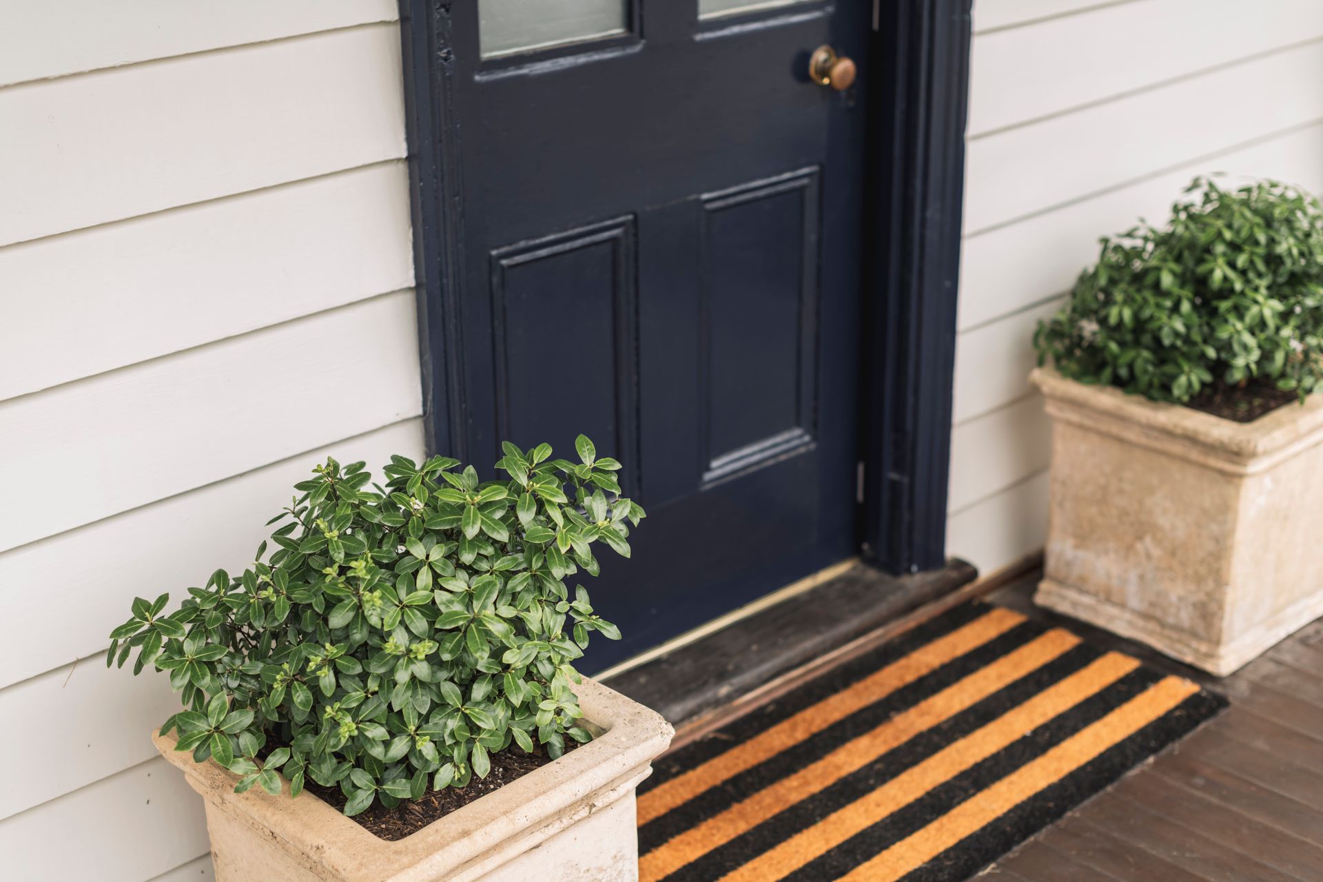 There are two potted plants in front of the door.