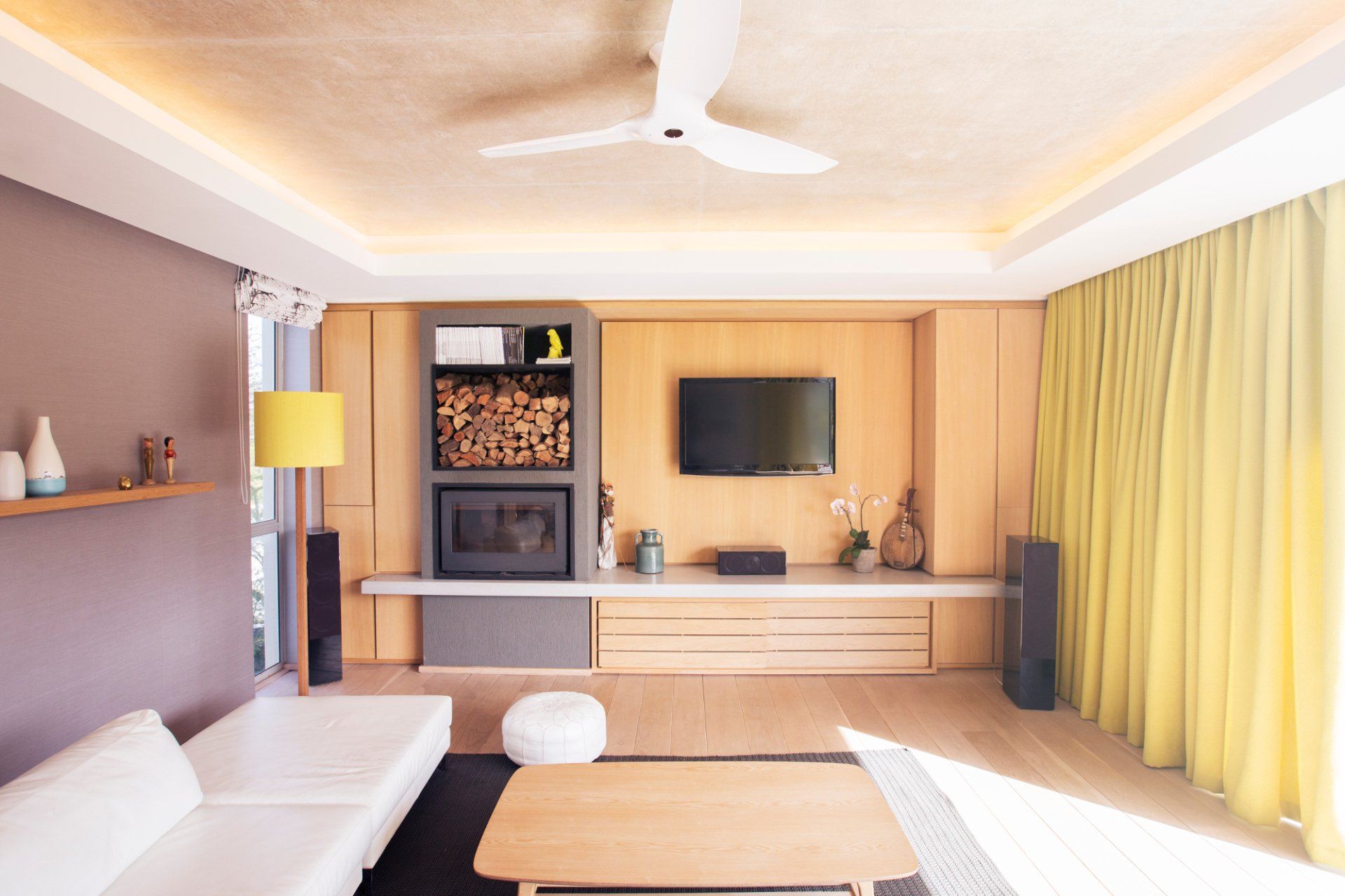 Ramoneur professionnel