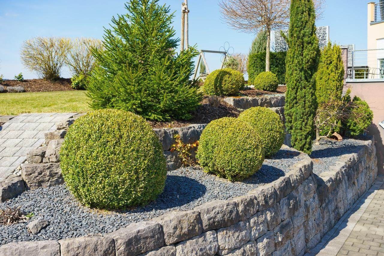 Grüne Sträucher und Bäume in einem terrassenförmig angelegten Garten mit einer steinernen Stützmauer.