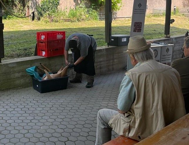 Reh Zerlegekurs – Hegering Sülztal – Forstgut Eygen Rösrath 17.06.23