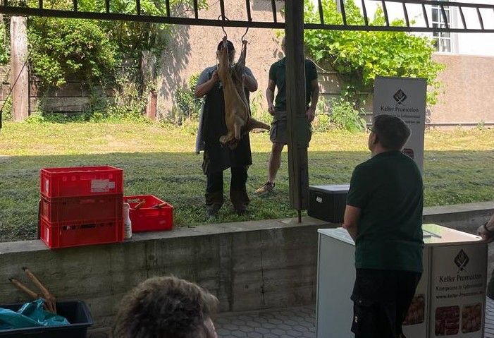 Reh Zerlegekurs – Hegering Sülztal – Forstgut Eygen Rösrath 17.06.23