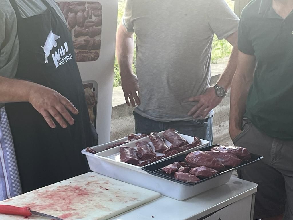 Reh Zerlegekurs – Hegering Sülztal – Forstgut Eygen Rösrath 17.06.23