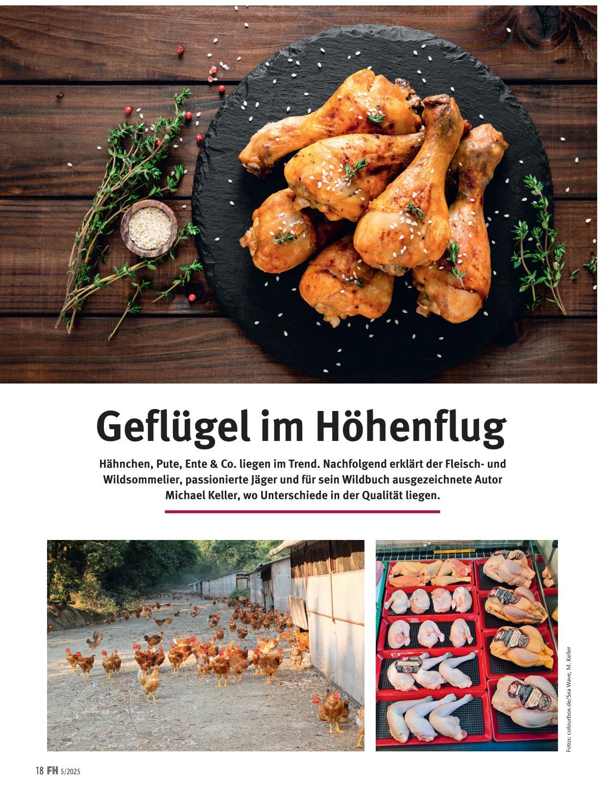 Titelseite von 