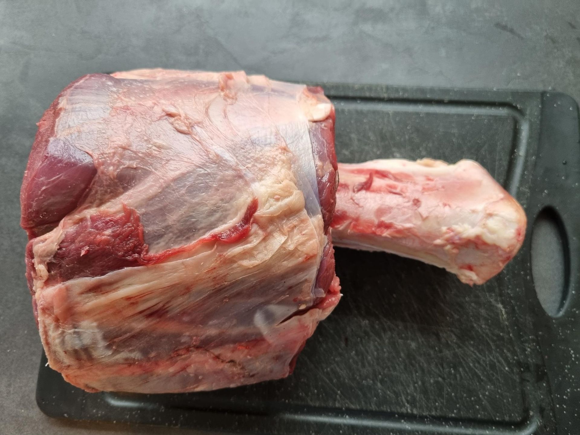 Charoluxe Rindfleisch als Model – Fotostudio Müller – 24.05.23