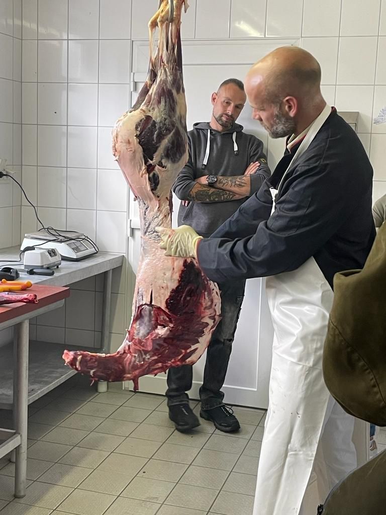 Jagd in Lütetsburg – Damwild Total vom Allerfeinsten – Lütetsburg 09.08.23