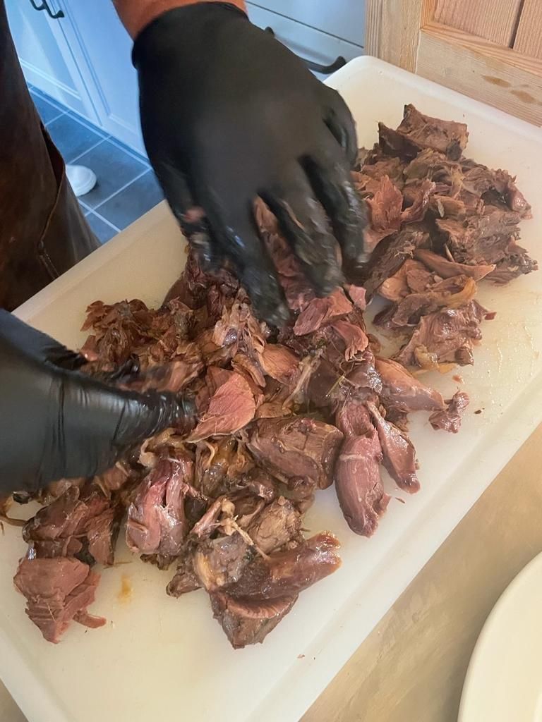 Jagd in Lütetsburg – Damwild Total vom Allerfeinsten – Lütetsburg 09.08.23