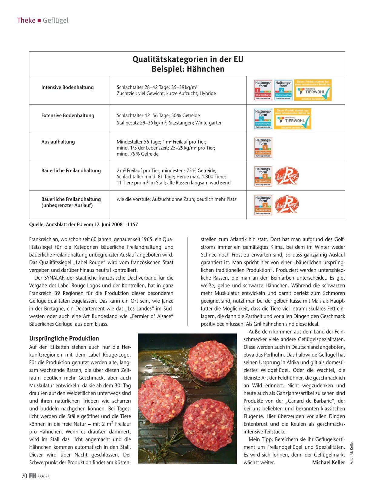 Artikelseite mit Text und einem Foto 