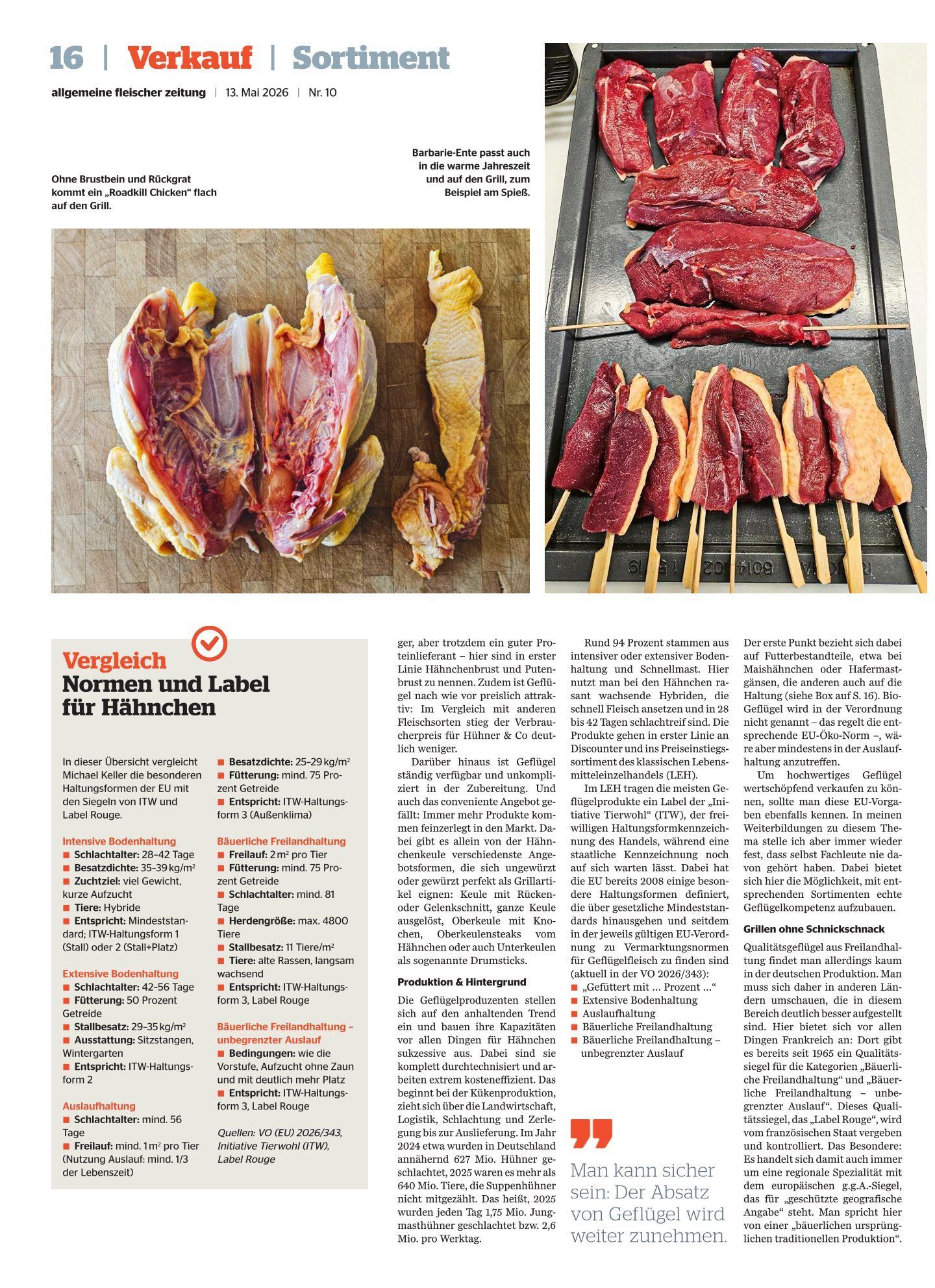 Magazinseite mit Rezepten für gegrilltes Fleisch sowie Fotos von rohen und gegarten Fleischspießen