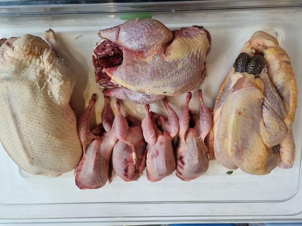 Keller Promotion, Inh. Michael Keller