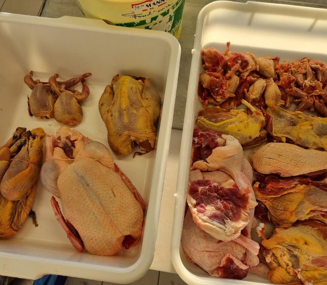 Keller Promotion, Inh. Michael Keller