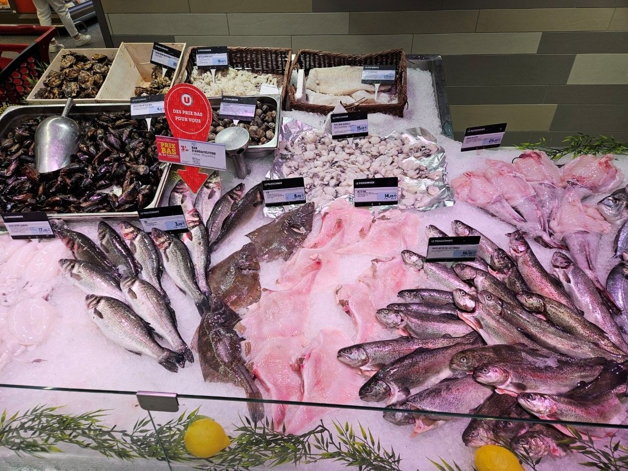 A fresh seafood display with various fish, shellfish, and ice at a market.