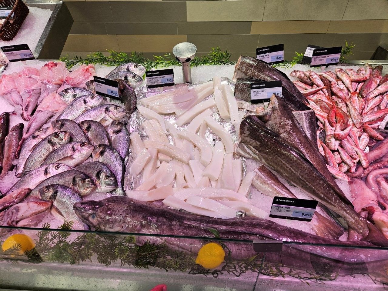 Eine Auslage mit frischen Meeresfrüchten, darunter verschiedene Fischsorten, Schalentiere und Eis, auf einem Markt.