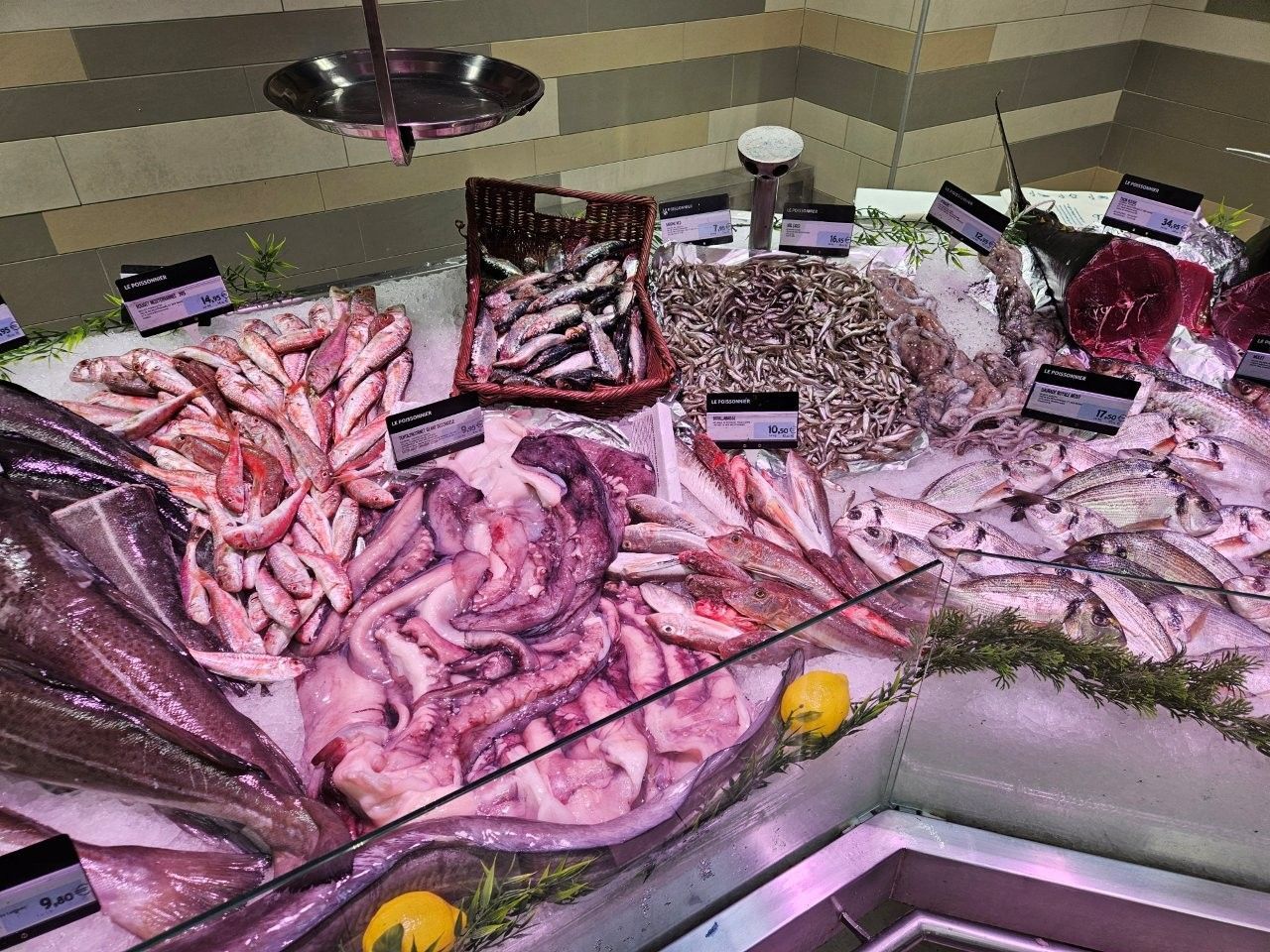 Eine Auslage mit frischen Meeresfrüchten, darunter verschiedene Fischsorten, Schalentiere und Eis, auf einem Markt.