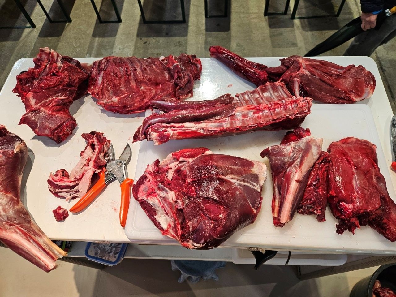 Jagd & Angeln - täglich ein Tier zerlegt und zubereitet - Genussbühne - Leipzig 03. - 05.10.25