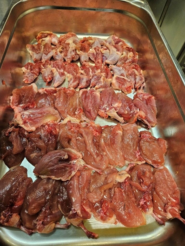 Frische Paradies Gruppe - Kundenabend 