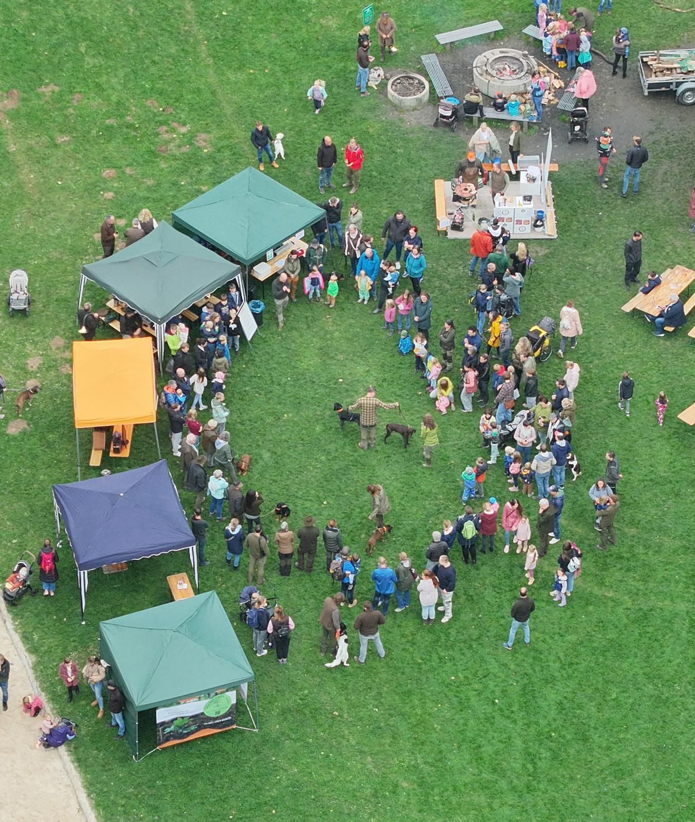 Luftaufnahme eines Jahrmarkts auf grünem Gras. Menschen versammeln sich um Zelte, eine Feuerstelle und eine Präsentation mit Hunden.