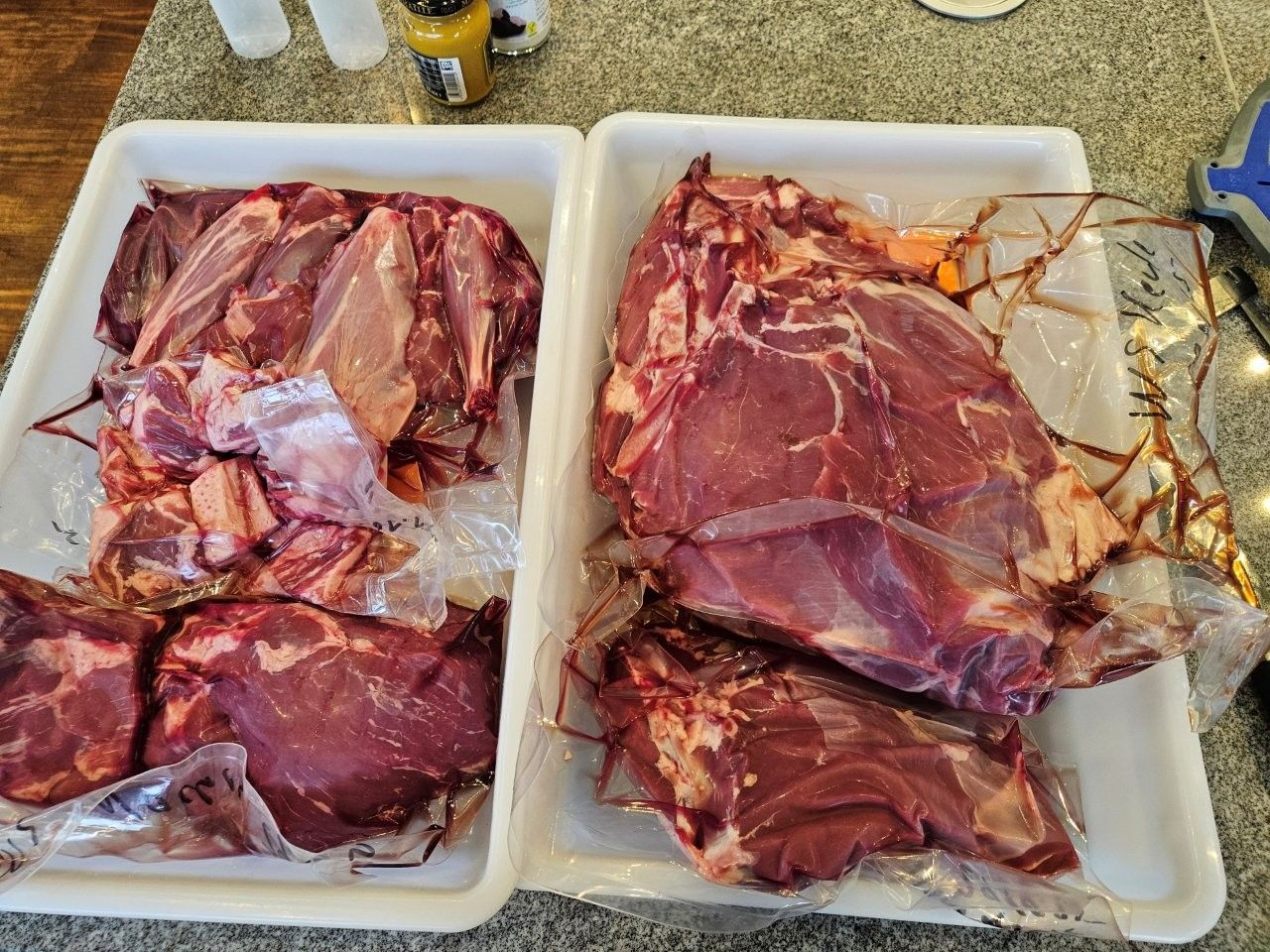 Jäger Workshop - Wildschwein Total - La Cucina Kochschule Carsten Dohrs - Remagen 01.11.25