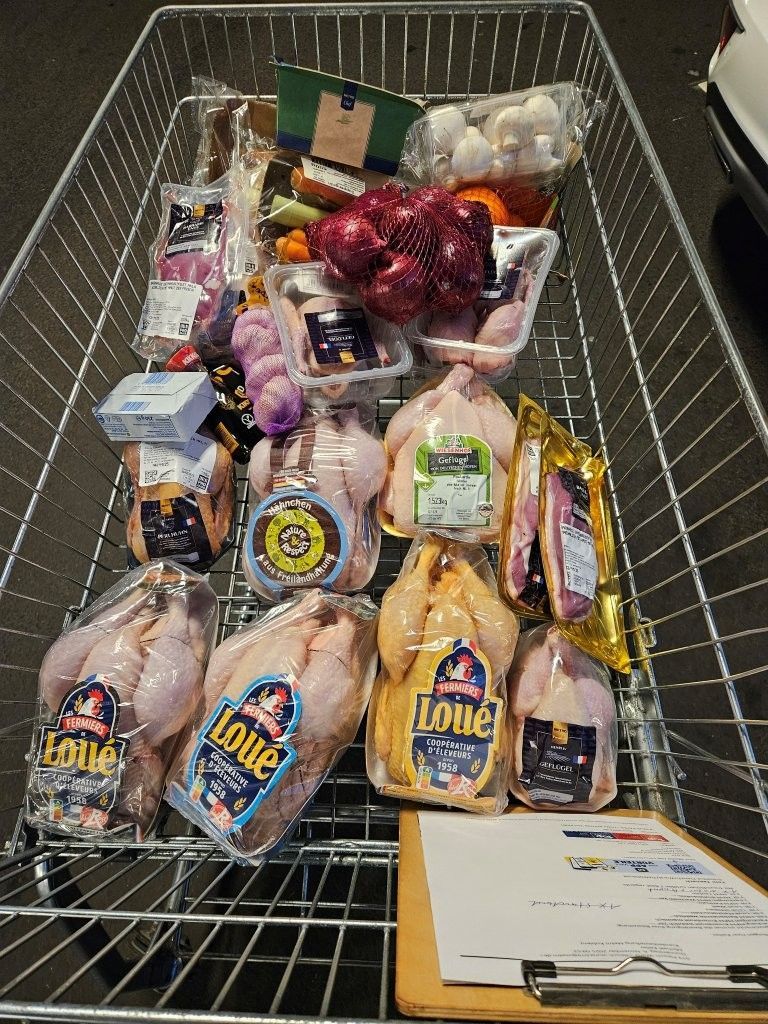 Einkaufswagen gefüllt mit verpackten rohen Hühnern, Obst und Gemüse sowie anderen Lebensmitteln.