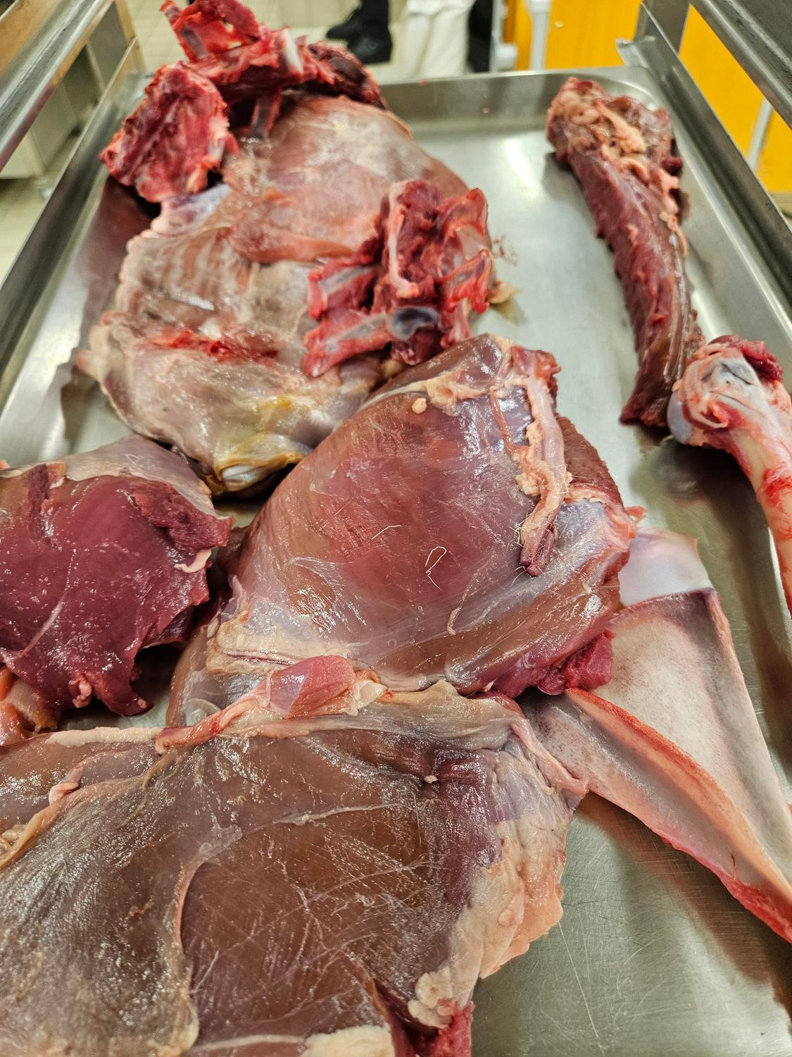 Reh Total – Landesberufsschule Baden-Württemberg – Köche Nachwuchs Jeune Restaurateur – Bad Überkingen, 03.12.25