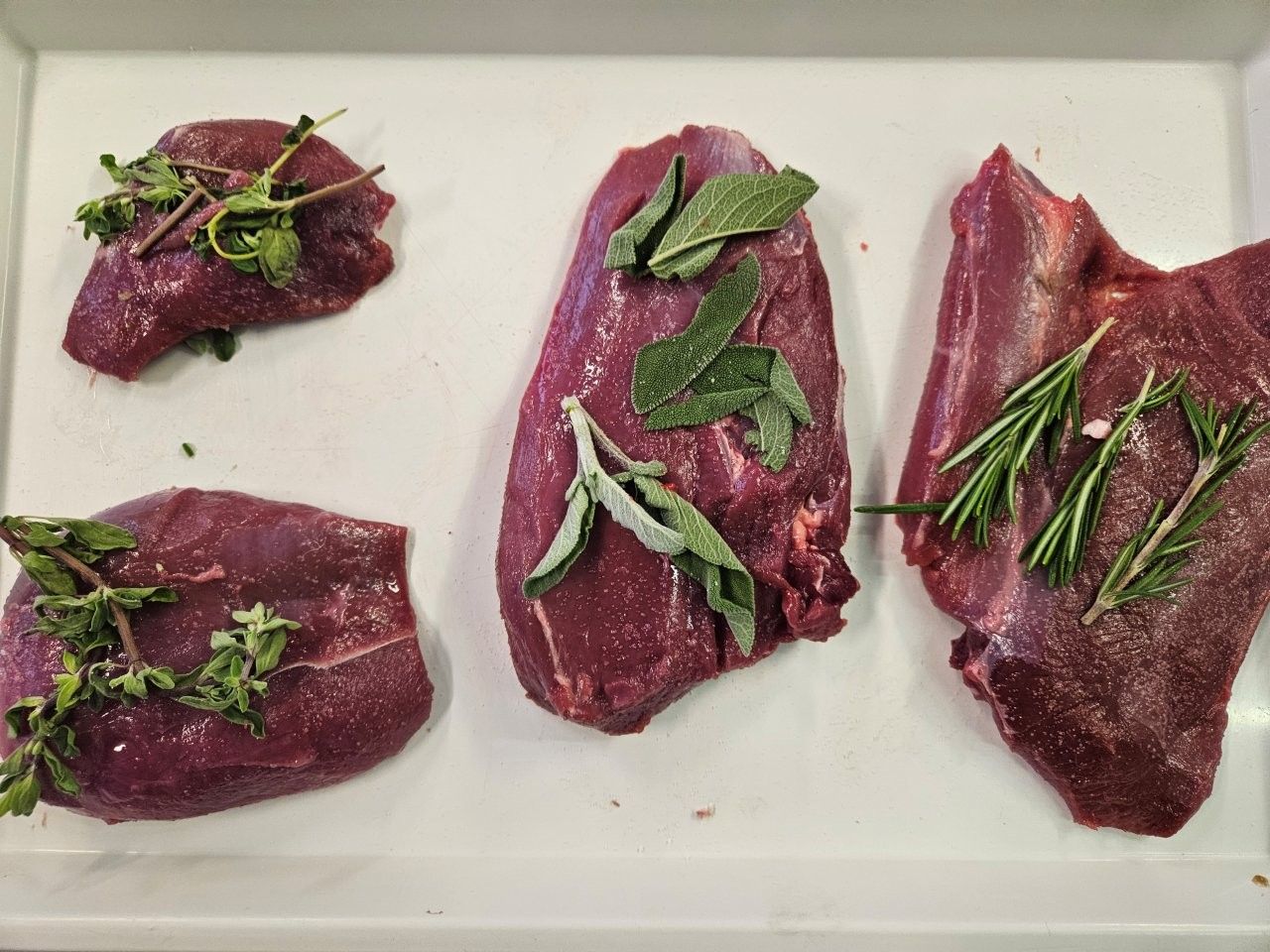 Rohes Fleisch, mit Kräutern gewürzt, auf einem weißen Tablett angerichtet.