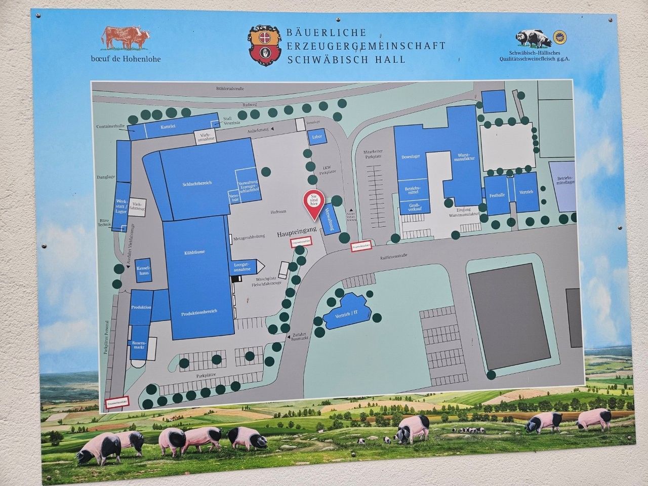 Karte eines Gebäudekomplexes mit blauen Gebäuden, Straßen, Bäumen und Schweineabbildungen am unteren Rand.