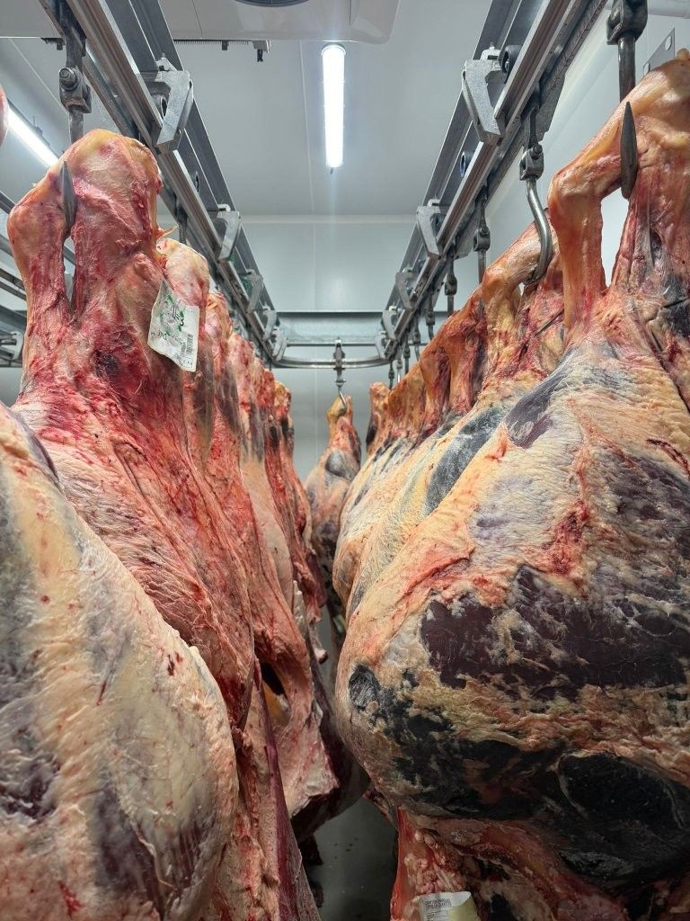 Reise mit Klaus Breinig zum Thema Charoluxe - rund um Charolles (Burgund) - Züchter - Fachhandel - Produktion - Zerlegung 13. - 15.04.26