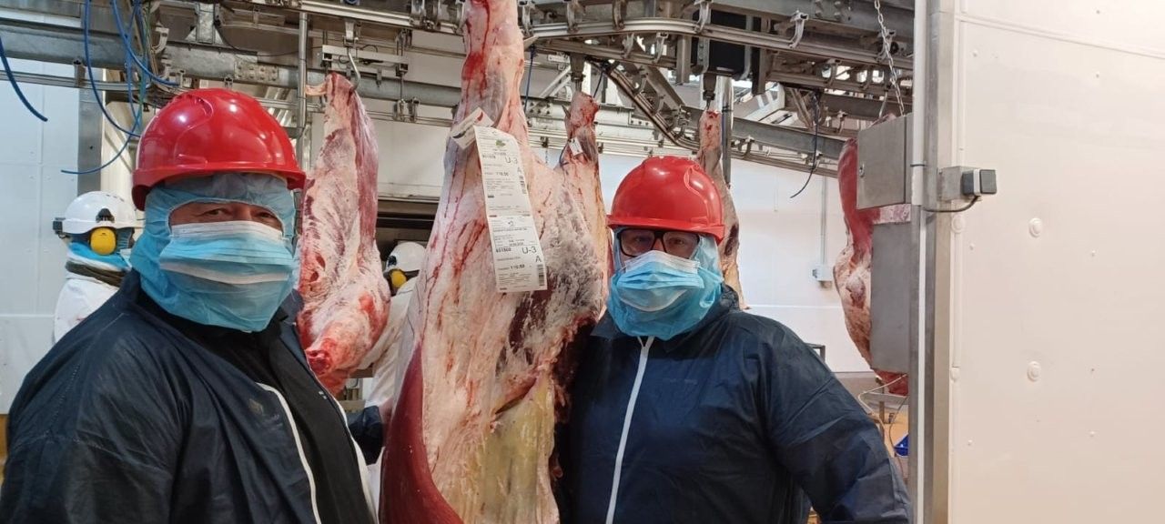 Reise mit Klaus Breinig zum Thema Charoluxe - rund um Charolles (Burgund) - Züchter - Fachhandel - Produktion - Zerlegung 13. - 15.04.26