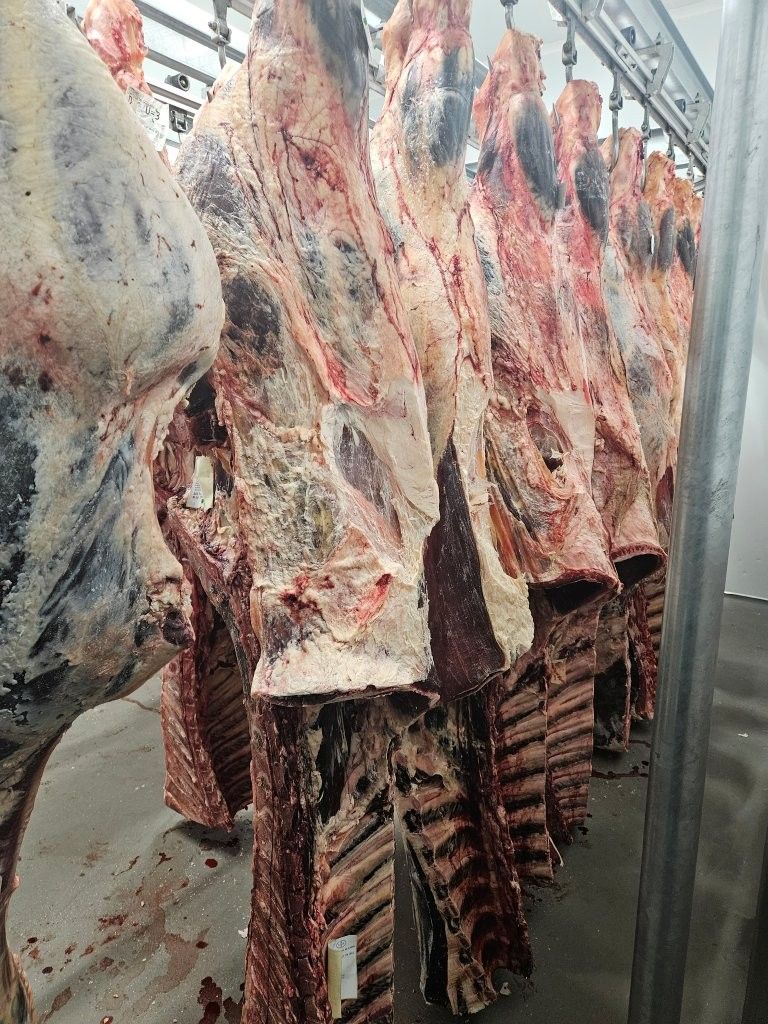 Reise mit Klaus Breinig zum Thema Charoluxe - rund um Charolles (Burgund) - Züchter - Fachhandel - Produktion - Zerlegung 13. - 15.04.26